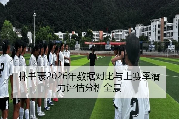 林书豪2026年数据对比与上赛季潜力评估分析全景